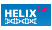 HELIX kids Shop Logo